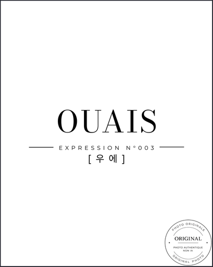 표현 003 - OUAIS [우에]